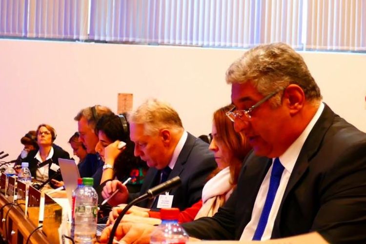 Azad Rəhimov Azərbaycanın 10 ölkəyə ekspert yardımı göstərməyə hazır olduğunu açıqladı