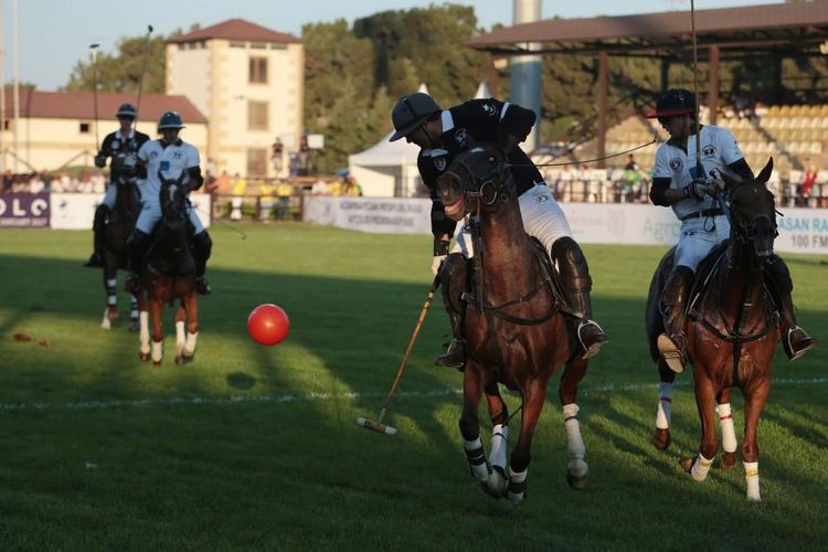 Bakıda polo üzrə Dünya Kuboku başlayır