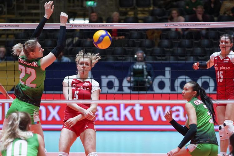 Xalsız vida  - YENİLƏNİB