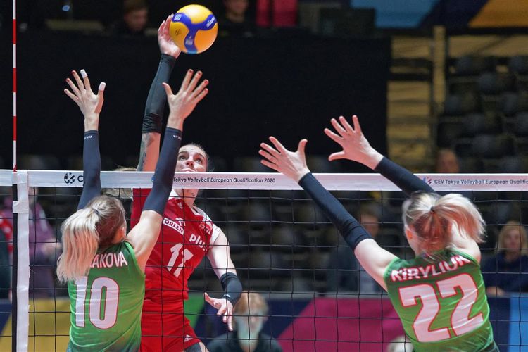 Xalsız vida  - YENİLƏNİB