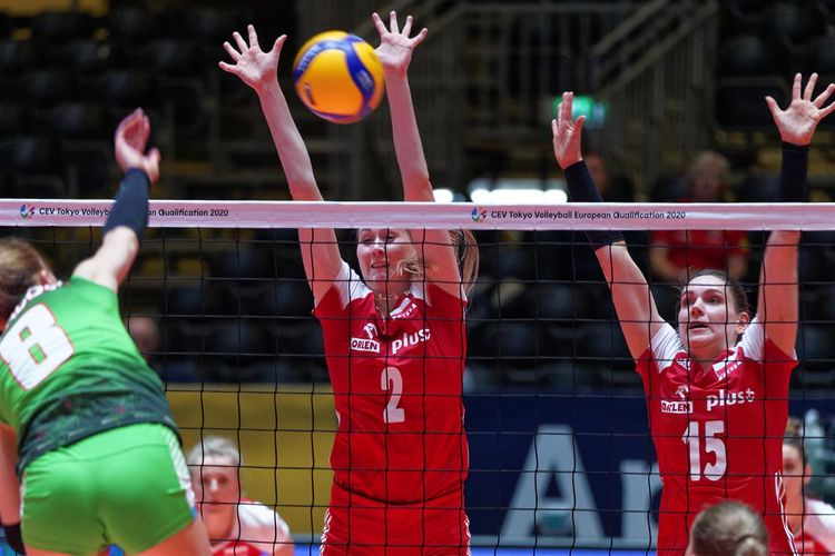 Xalsız vida  - YENİLƏNİB