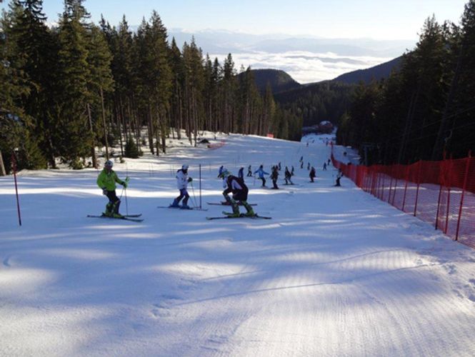 Azərbaycan xizəkçilərinin qatılacağı dünya çempionatı təxirə salınır