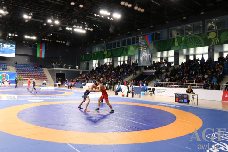 Azərbaycanın ən güclü güləşçiləri bəlli oldu - ADLAR