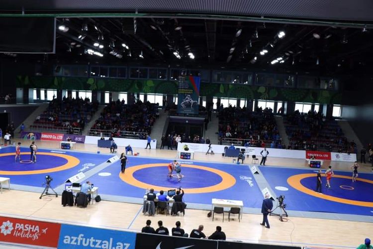 Yunan-Roma güləşçilərinin mübarizəsi yekunlaşdı, sərbəstlər başladı - ölkə çempionatı