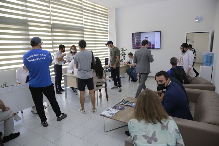 Olimpiyaçılarımızın peyvəndləmə prosesinə başlandı - FOTOSESSİYA