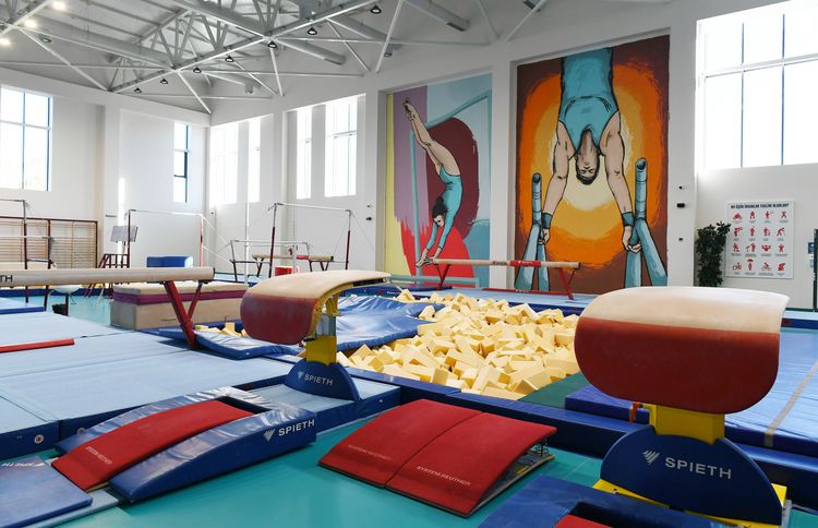 Prezident və birinci xanım Milli Gimnastika Arenasının yeni məşq binasında yaradılan şəraitlə tanış oldu - YENİLƏNİB