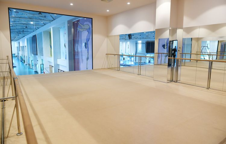 Prezident və birinci xanım Milli Gimnastika Arenasının yeni məşq binasında yaradılan şəraitlə tanış oldu - YENİLƏNİB