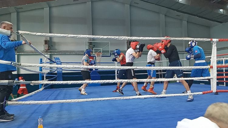 Azərbaycan millisi Ərzurumda Türkiyə və Əlcəzairlə birgə hazırlıq keçir - FOTOSESSİYA