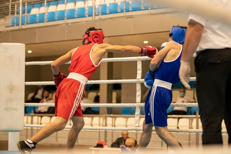 2 çəki dərəcəsində yarımfinalçılar bəlli oldu - FOTOSESSİYA