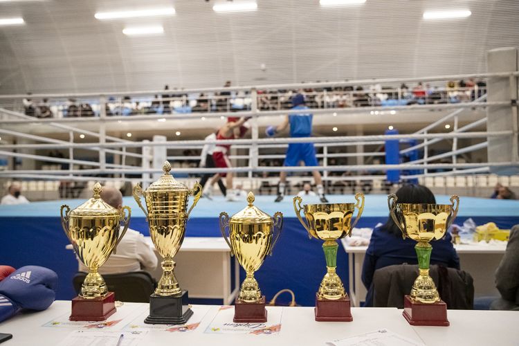 Azərbaycanın ən güclü boksçuları bəlli oldu - FOTOSESSİYA