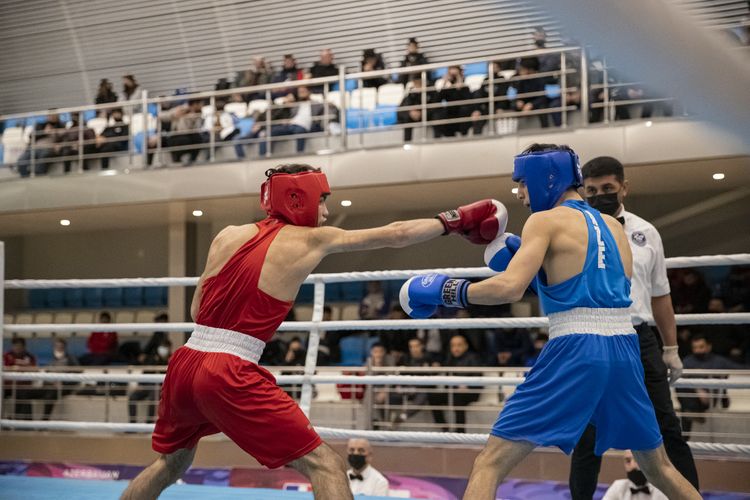 Azərbaycanın ən güclü boksçuları bəlli oldu - FOTOSESSİYA