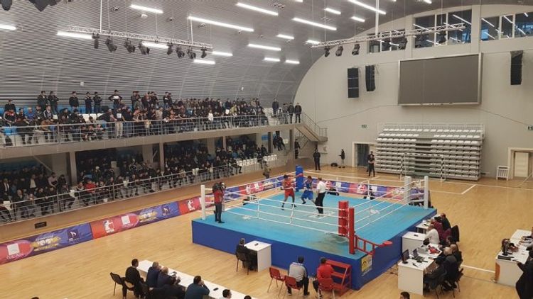 Azərbaycan boksçuları mübarizəyə başlayır