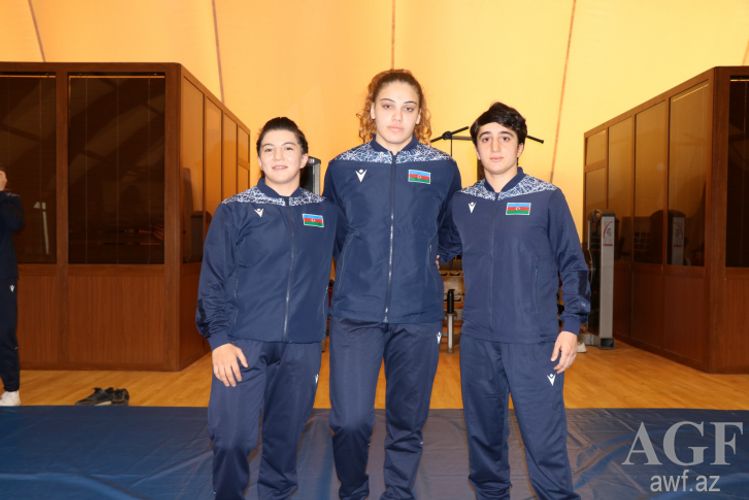 Avropa çempionatında daha 2 medal