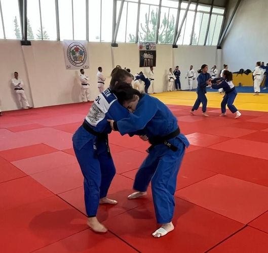 Millimiz Fransa, ABŞ və Xorvatiya ilə hazırlıqda - FOTOSESSİYA