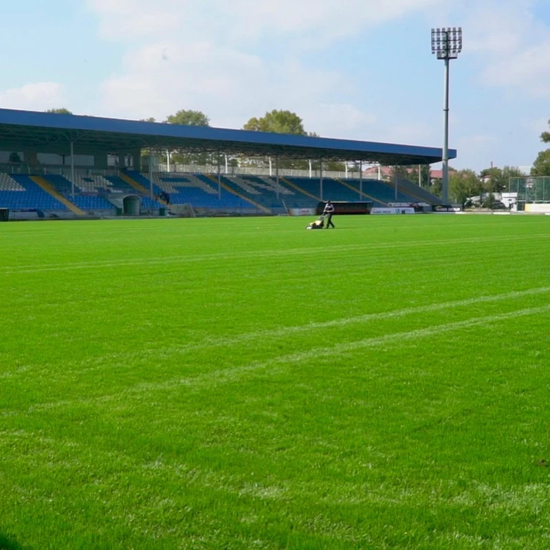 Ehtiram Quliyev Tovuz şəhər stadionunda ot örtüyünün dəyişdirilməsi prosesi ilə tanış olub - FOTO