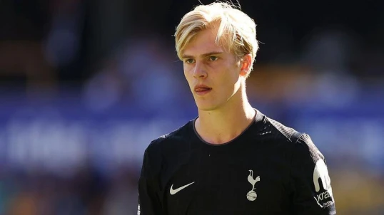 Berqvall ayrılmaq istəyir: “Tottenhem”də yay vidası 